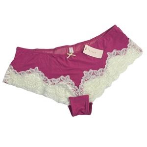 BLUSH Lingerie Sexy Sweetest Sin Lace Hipster Panties Knickers Pink NWT